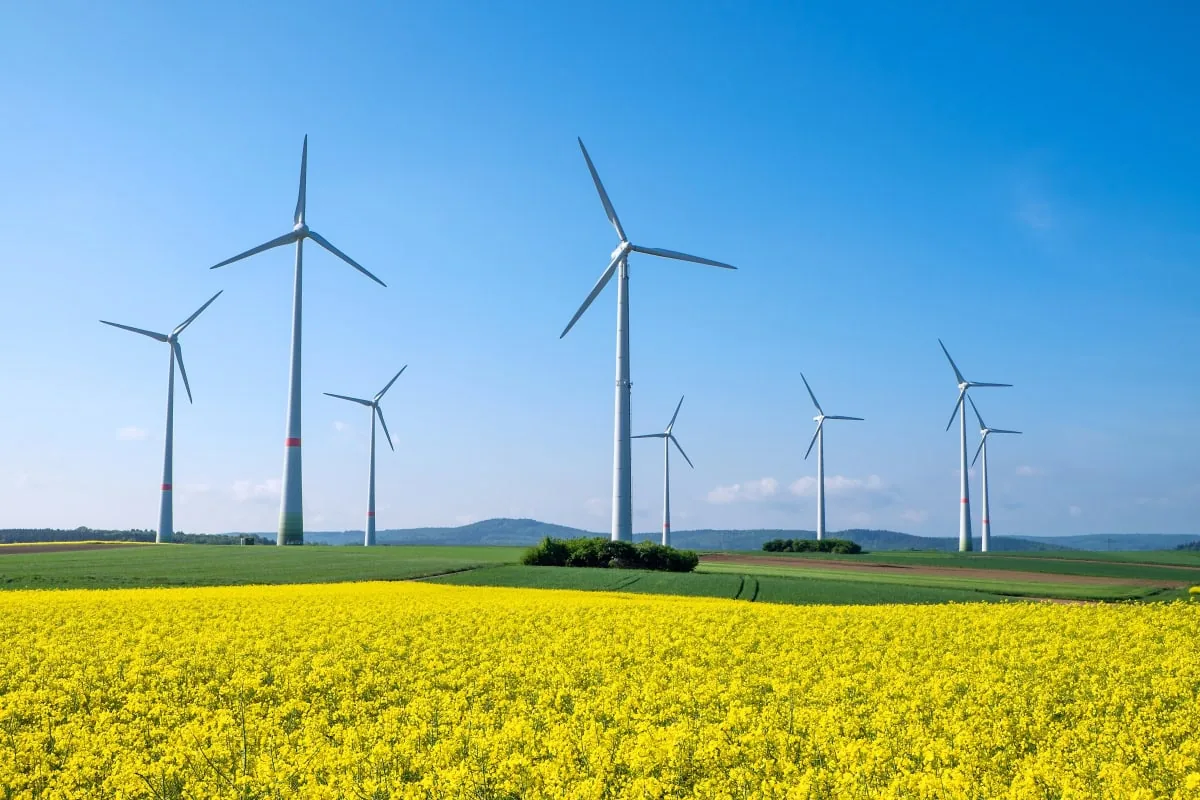 Energiewende: Warum werden in Norddeutschland Windräder abgeschaltet