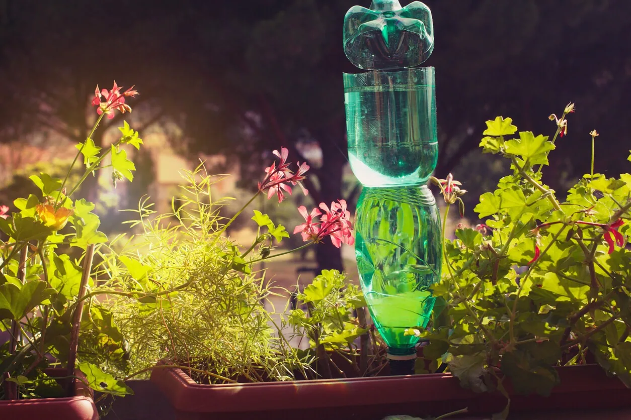 Sorglos in den Urlaub: Eine umgedrehte mit Wasser gefüllte PET-Flasche bewässert einen Blumenkasten im Garten.
