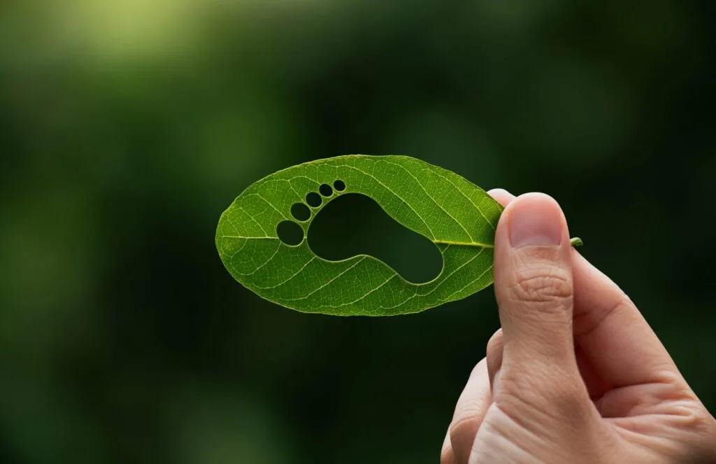 Ökologischer Fußabdruck: Wohnen, Mobilität und Ernährung als größte CO₂-Verursacher