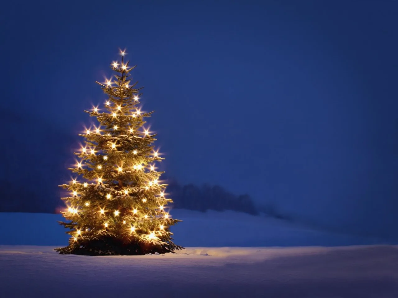Weihnachtsbeleuchtung: Wie viel Strom verbraucht sie?