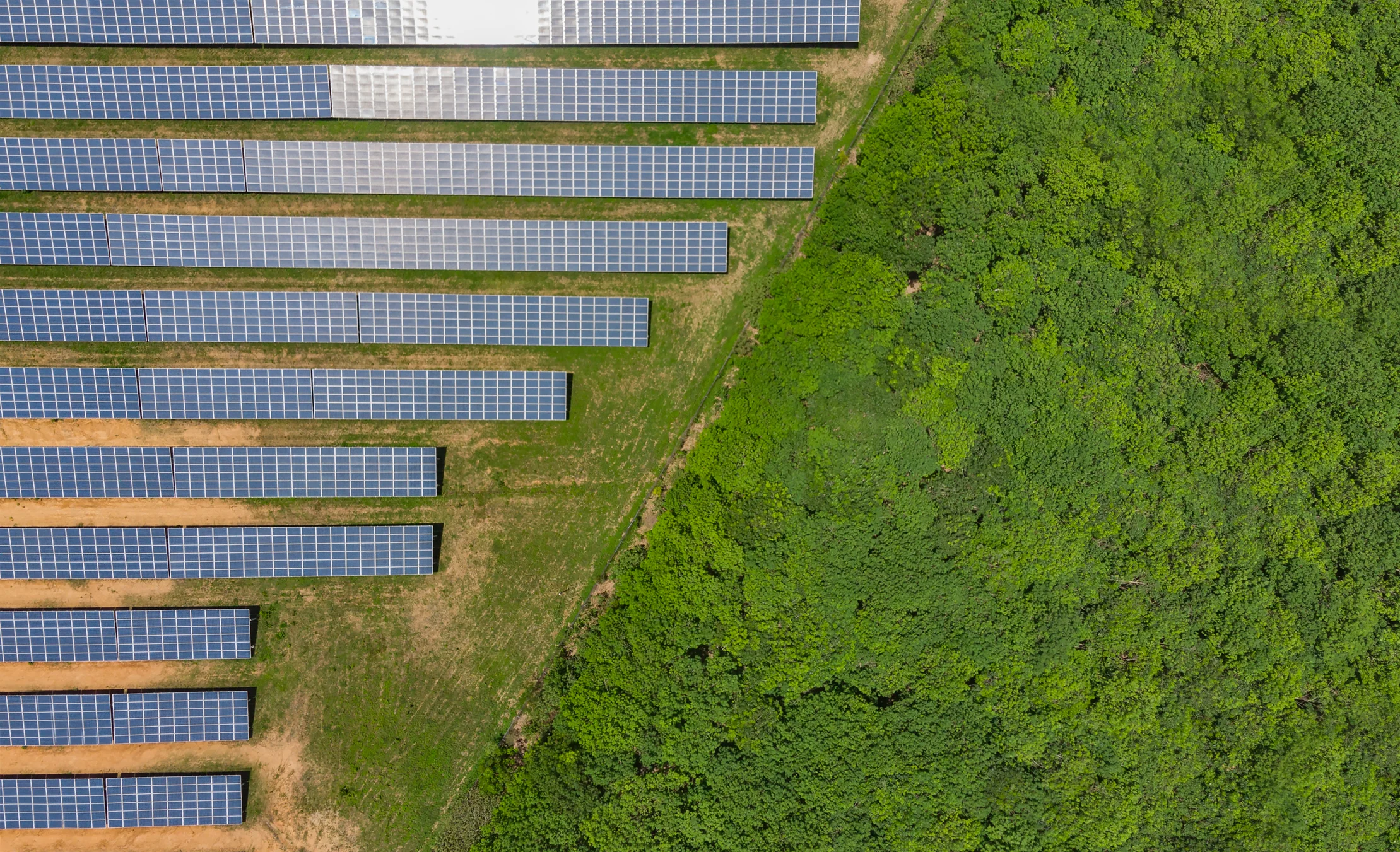 Bundesregierung setzt stärker auf große PV-Freiflächenanlagen