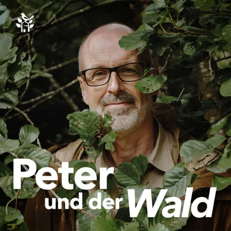 Peterundderwald Gutschein