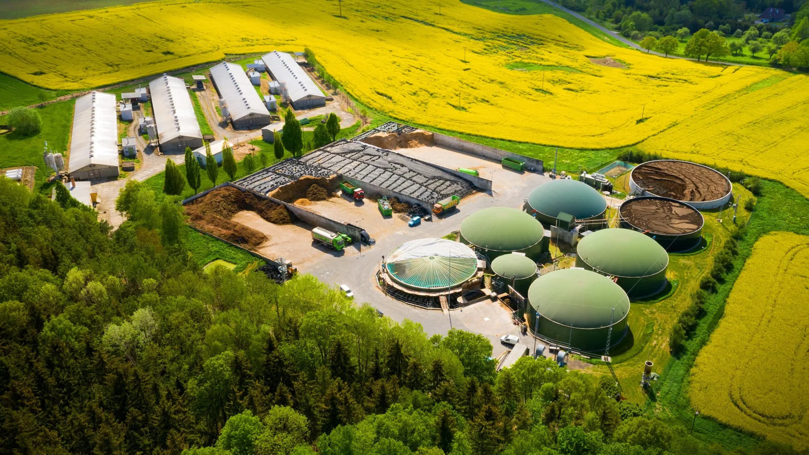 Biogas