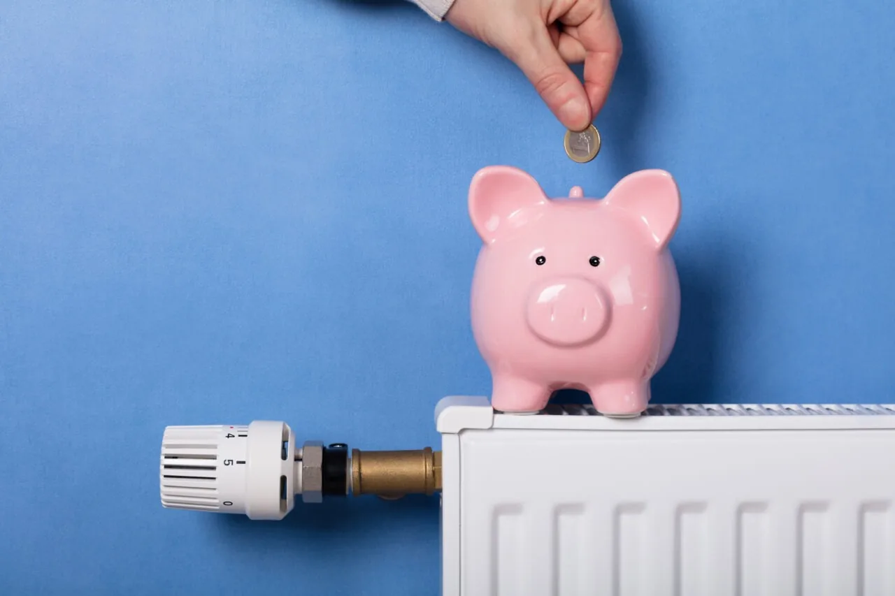 Eine Hand wirft Geldstück in ein Sparschwein auf einer Heizung. Biogas-Tarife sind meist teurer als normale Tarife.